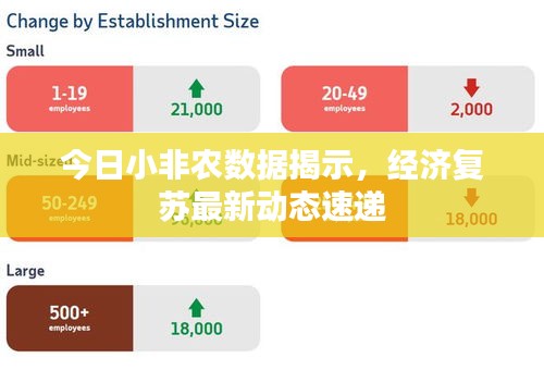 今日小非農數(shù)據(jù)揭示，經濟復蘇最新動態(tài)速遞