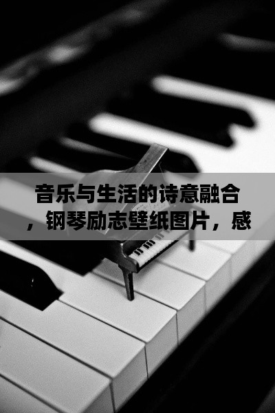 音樂(lè)與生活的詩(shī)意融合，鋼琴勵(lì)志壁紙圖片，感受美好瞬間