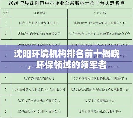 沈陽環(huán)境機(jī)構(gòu)排名前十揭曉，環(huán)保領(lǐng)域的領(lǐng)軍者