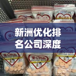 新洲優(yōu)化排名公司深度比較與評(píng)估報(bào)告