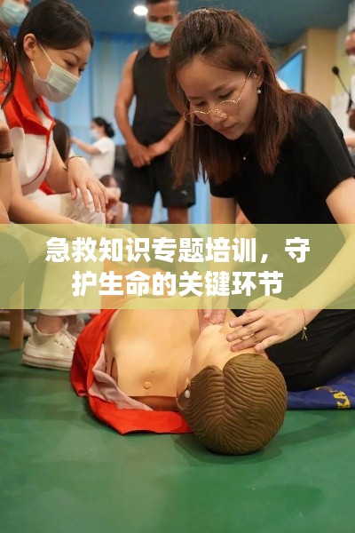 急救知識(shí)專題培訓(xùn)，守護(hù)生命的關(guān)鍵環(huán)節(jié)
