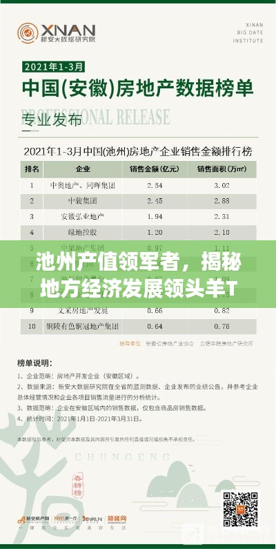 池州產(chǎn)值領(lǐng)軍者，揭秘地方經(jīng)濟(jì)發(fā)展領(lǐng)頭羊TOP10企業(yè)名單