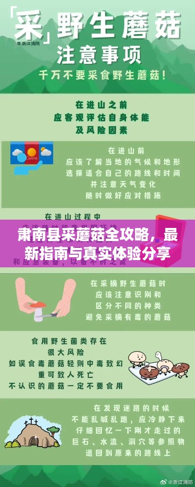 肅南縣采蘑菇全攻略，最新指南與真實(shí)體驗(yàn)分享
