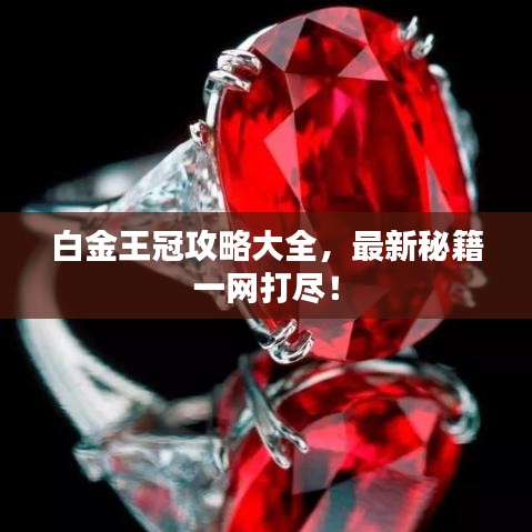 白金王冠攻略大全，最新秘籍一網(wǎng)打盡！