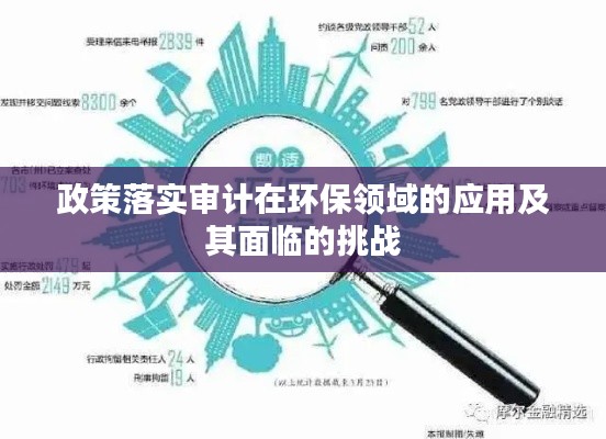 政策落實審計在環(huán)保領(lǐng)域的應(yīng)用及其面臨的挑戰(zhàn)