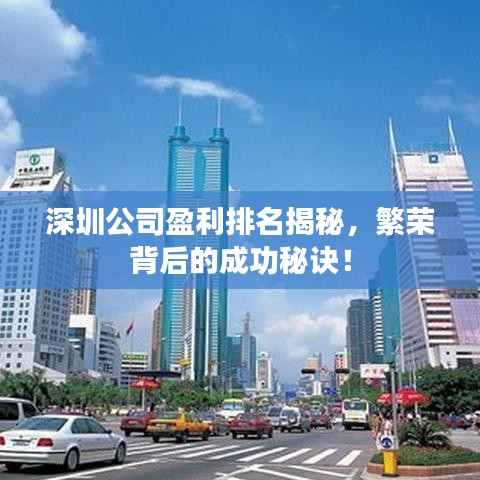 深圳公司盈利排名揭秘，繁榮背后的成功秘訣！