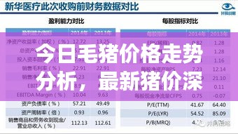 今日毛豬價(jià)格走勢(shì)分析，最新豬價(jià)深度解讀