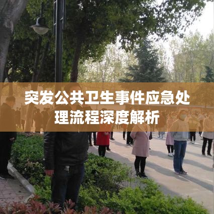 突發(fā)公共衛(wèi)生事件應急處理流程深度解析