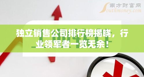 獨立銷售公司排行榜揭曉，行業(yè)領(lǐng)軍者一覽無余！