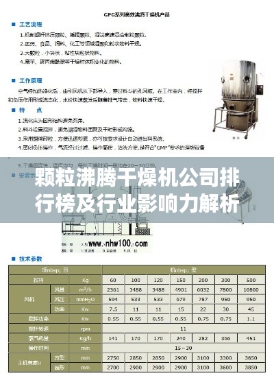 顆粒沸騰干燥機公司排行榜及行業(yè)影響力解析