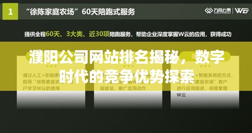 濮陽(yáng)公司網(wǎng)站排名揭秘，數(shù)字時(shí)代的競(jìng)爭(zhēng)優(yōu)勢(shì)探索