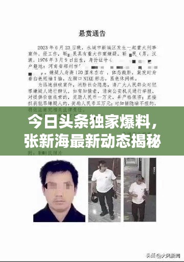 今日頭條獨家爆料，張新海最新動態(tài)揭秘！