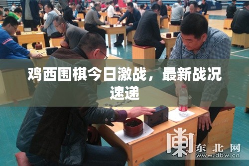 雞西圍棋今日激戰(zhàn)，最新戰(zhàn)況速遞