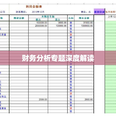 財務(wù)分析專題深度解讀