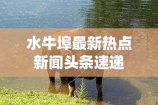 水牛埠最新熱點(diǎn)新聞頭條速遞
