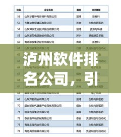瀘州軟件排名公司，引領(lǐng)行業(yè)發(fā)展的技術(shù)力量標(biāo)桿