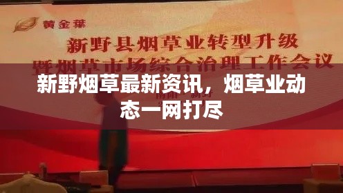 新野煙草最新資訊，煙草業(yè)動態(tài)一網(wǎng)打盡
