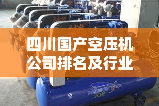四川國產(chǎn)空壓機(jī)公司排名及行業(yè)影響力揭秘，誰領(lǐng)風(fēng)騷？