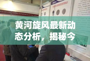 黃河旋風(fēng)最新動態(tài)分析，揭秘今日市場走勢