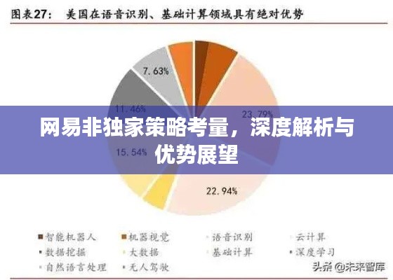 網(wǎng)易非獨(dú)家策略考量，深度解析與優(yōu)勢展望