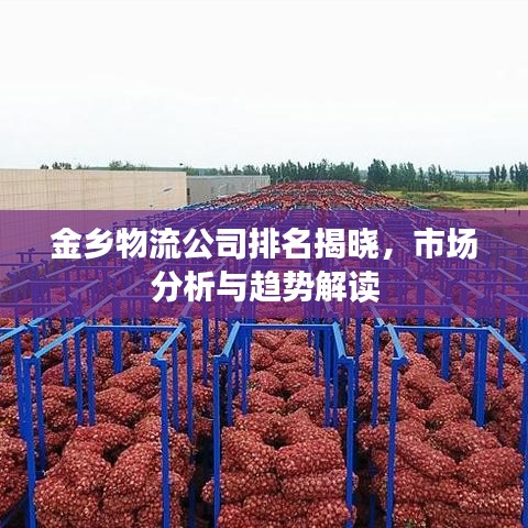 金鄉(xiāng)物流公司排名揭曉，市場分析與趨勢解讀