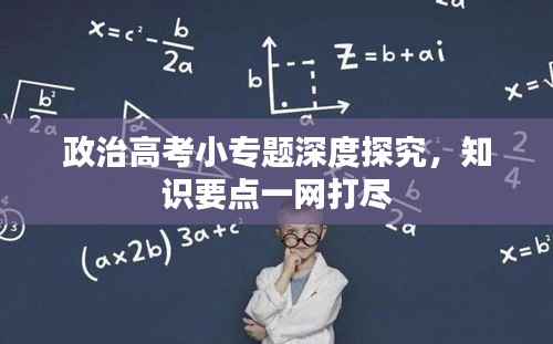 政治高考小專題深度探究，知識要點(diǎn)一網(wǎng)打盡