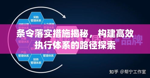 條令落實(shí)措施揭秘，構(gòu)建高效執(zhí)行體系的路徑探索